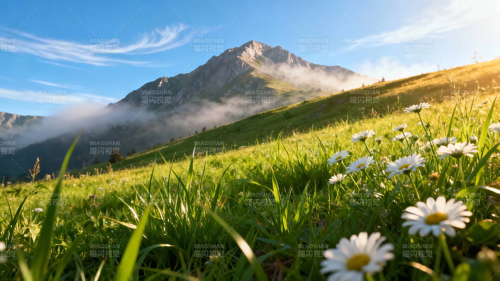 山花烂漫 云雾绕峰峦图片