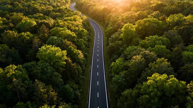 林间公路 夕阳如金图片