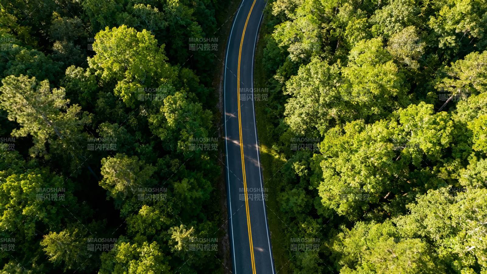 林间蜿蜒公路航拍图图片