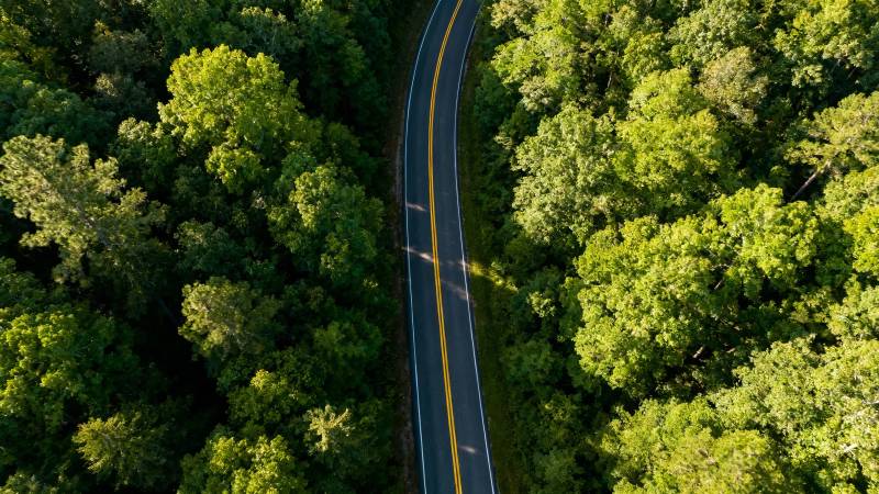林间蜿蜒公路航拍图图片