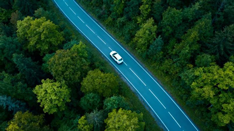 林间公路 白车穿行图片
