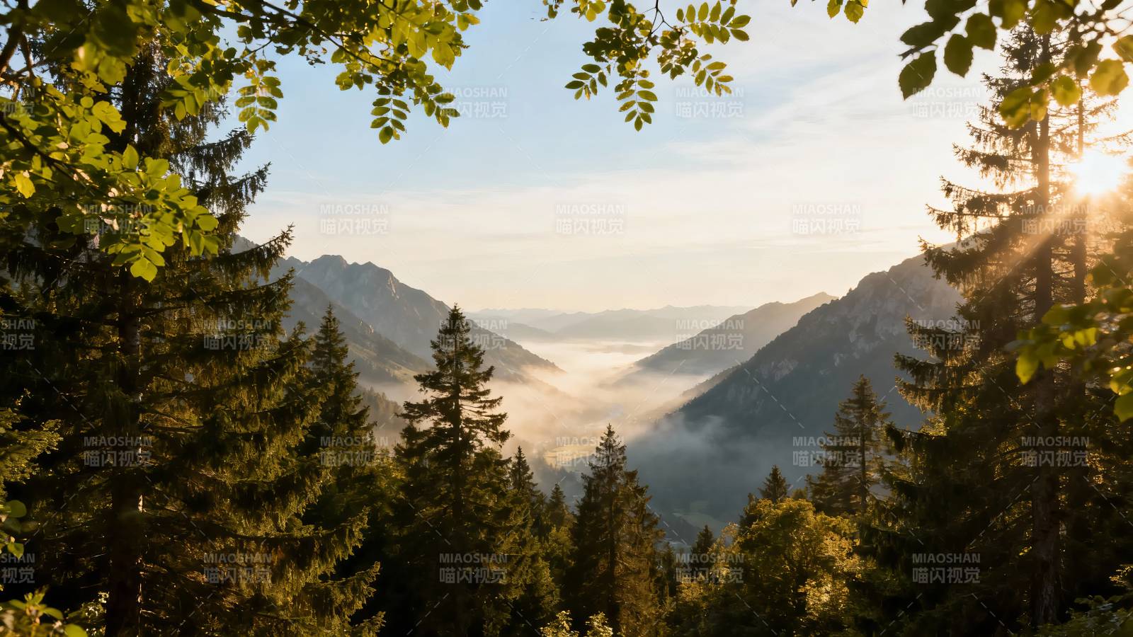 晨光穿林 雾绕山峦图片