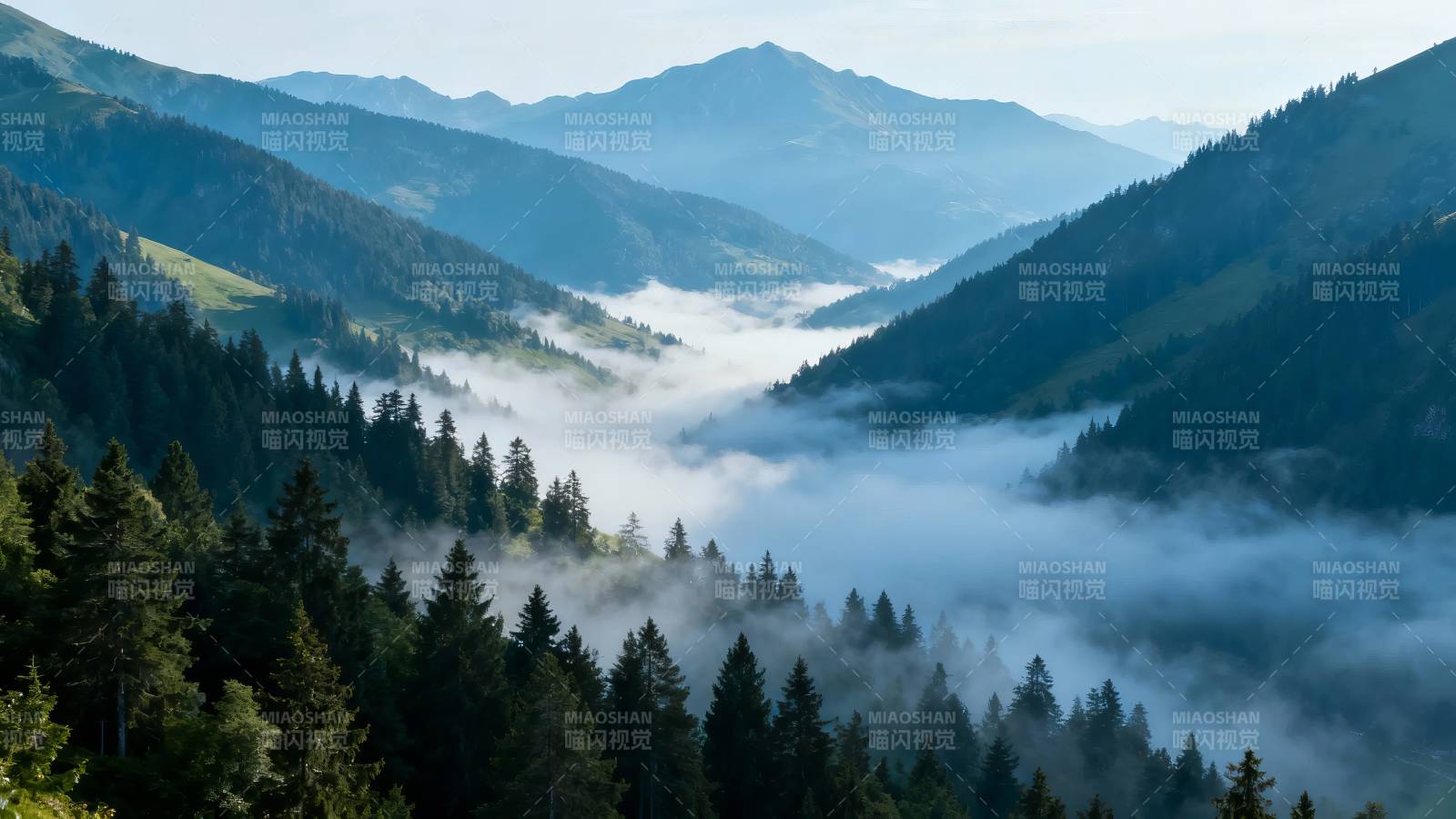云雾缭绕山间 松林隐现如画图片
