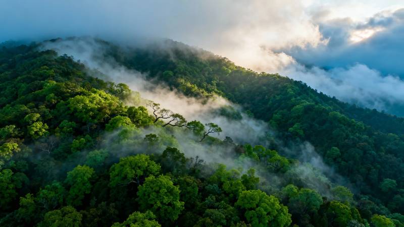 云雾缭绕青山翠图片