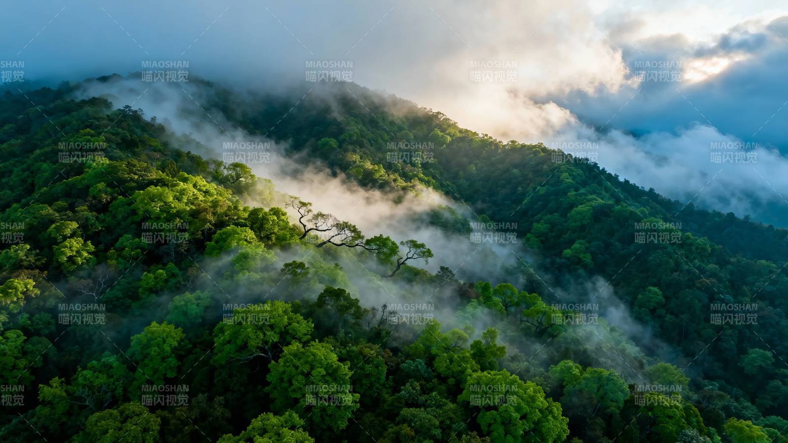 云雾缭绕青山翠图片