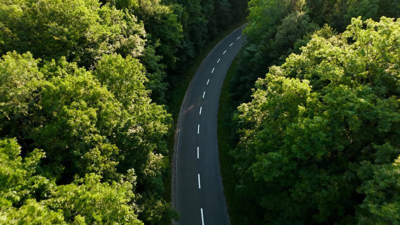 林间蜿蜒公路航拍图图片
