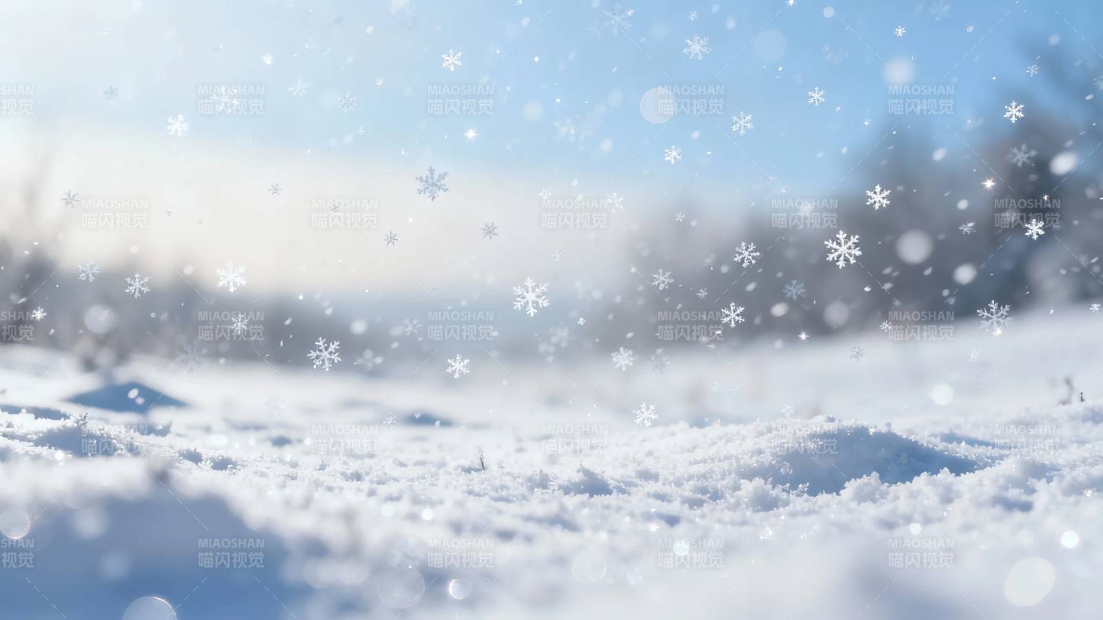 雪落无声 冬日静美图片