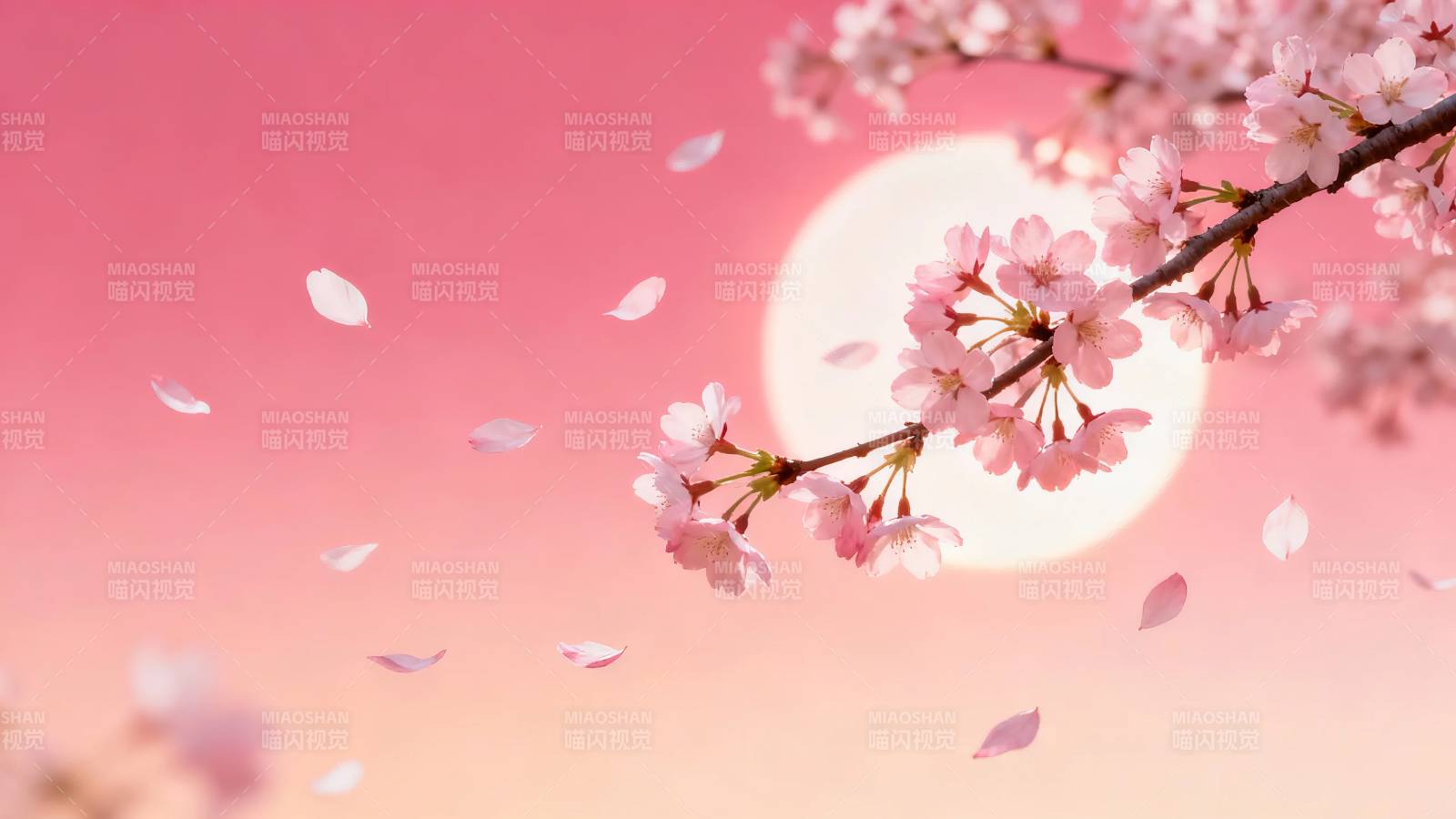 樱花飞舞 粉日映枝图片