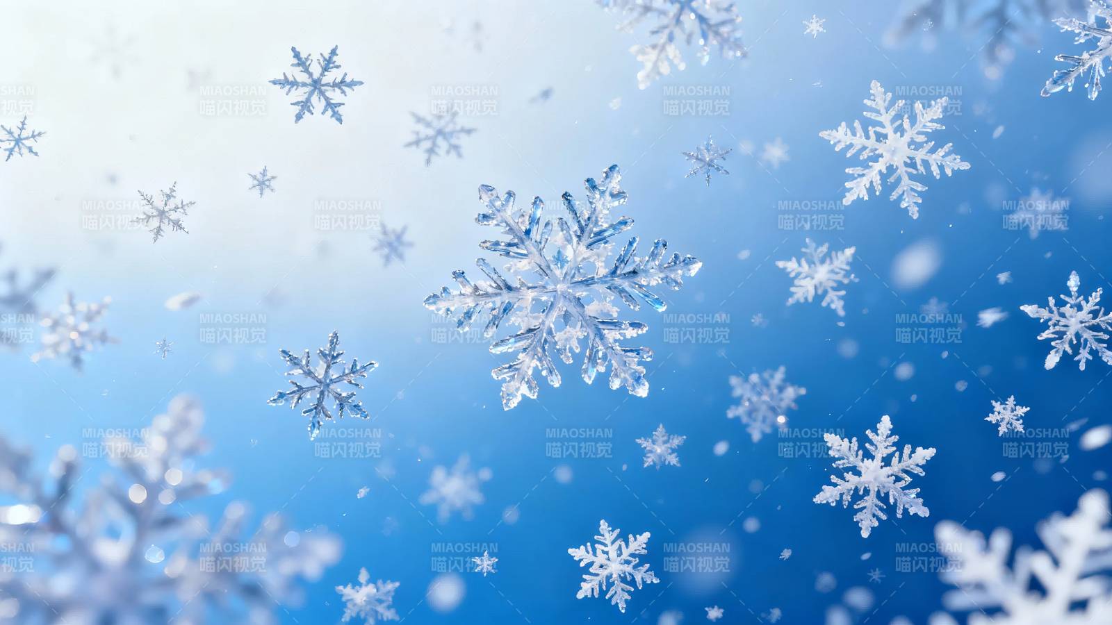 雪花飞舞 冬日梦幻蓝图片