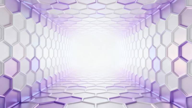 紫白蜂巢隧道光景图片