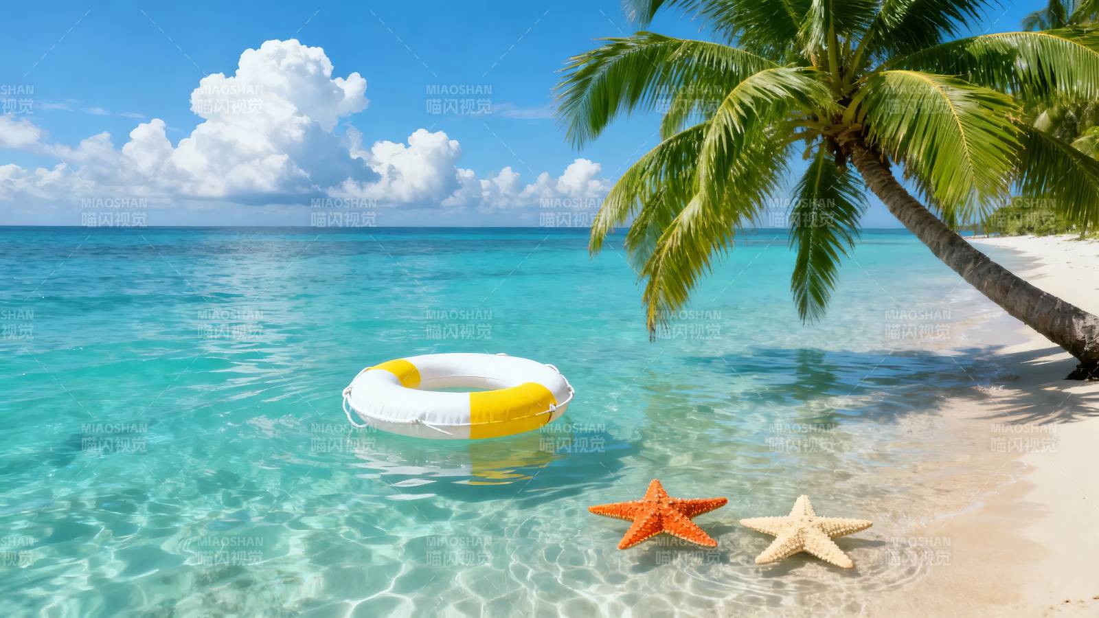 热带海滩浮圈与海星图片