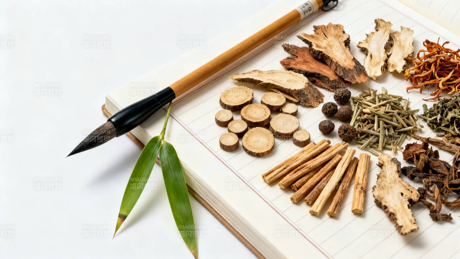 中药药材与毛笔竹叶图图片