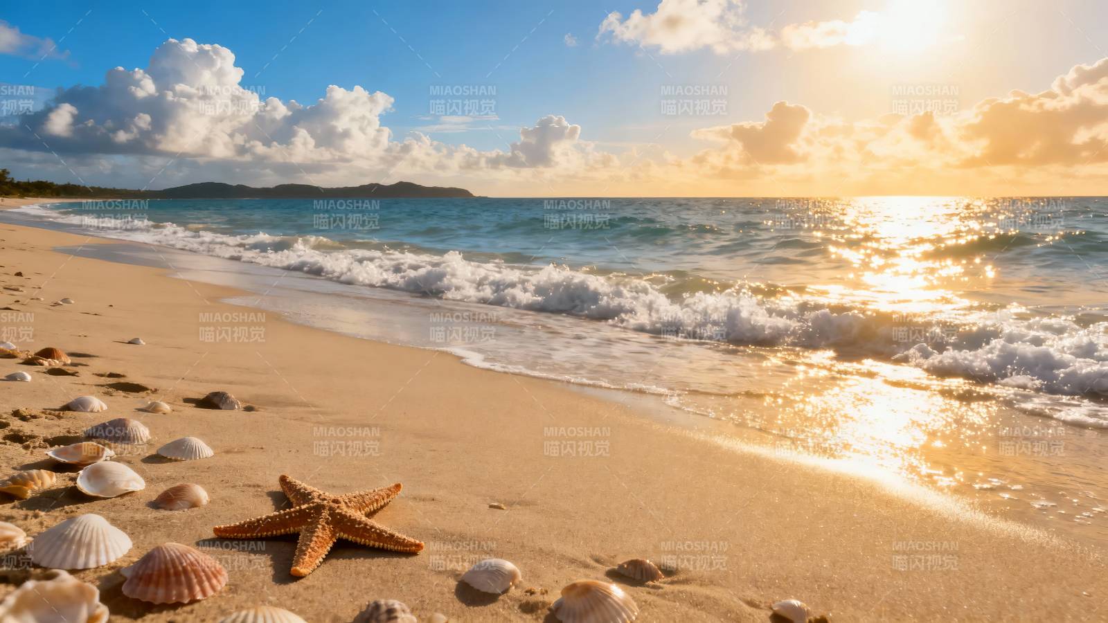 夕阳沙滩海星贝壳美景图片
