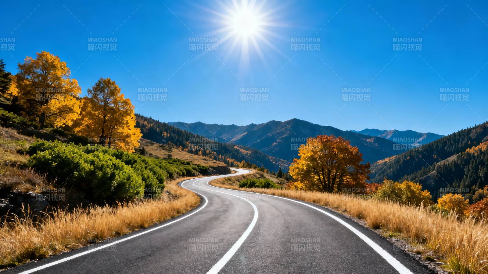 秋日山路 阳光灿烂图片