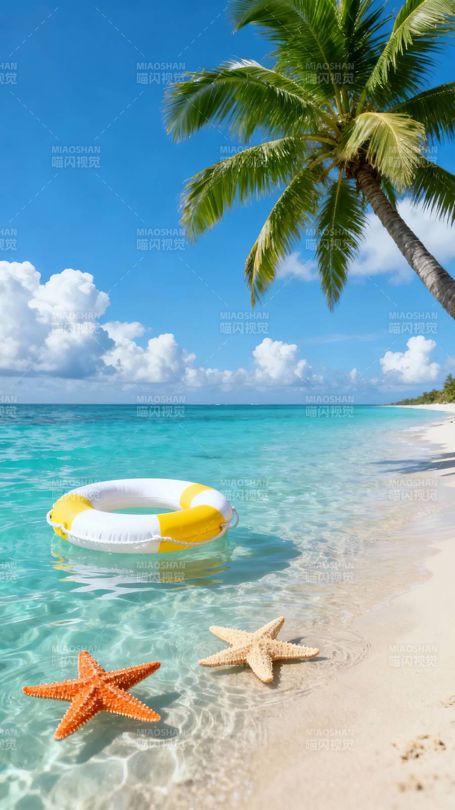 热带海滩 海星与救生圈图片