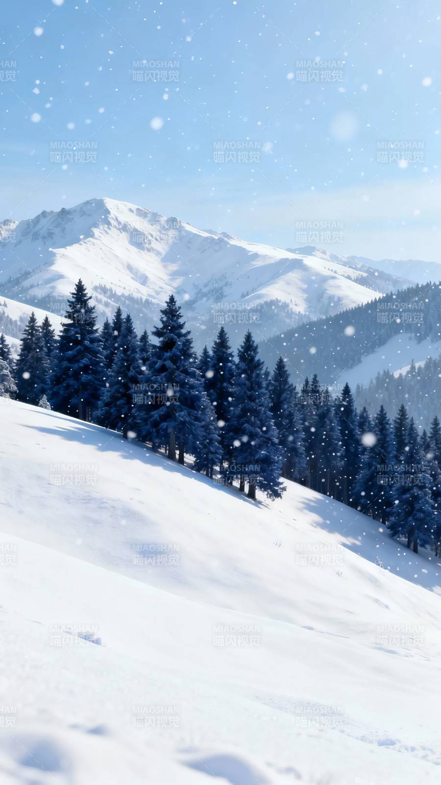雪落松山 静谧冬景图片