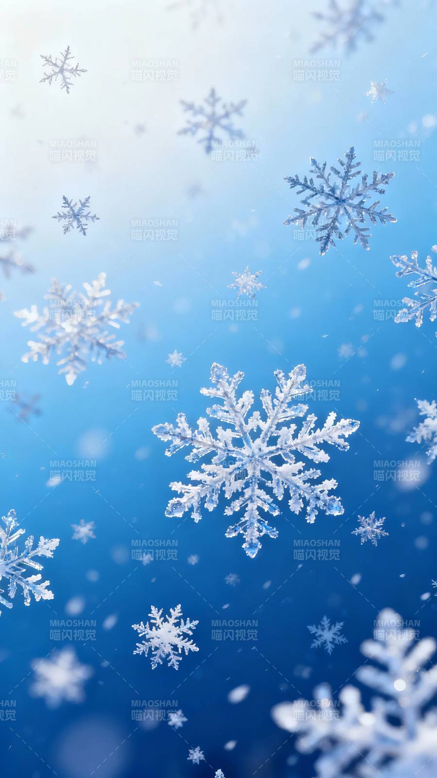 雪花纷飞 冬日梦幻蓝图片