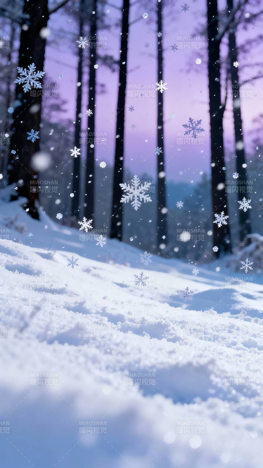 雪落林间 紫霞映冬景图片