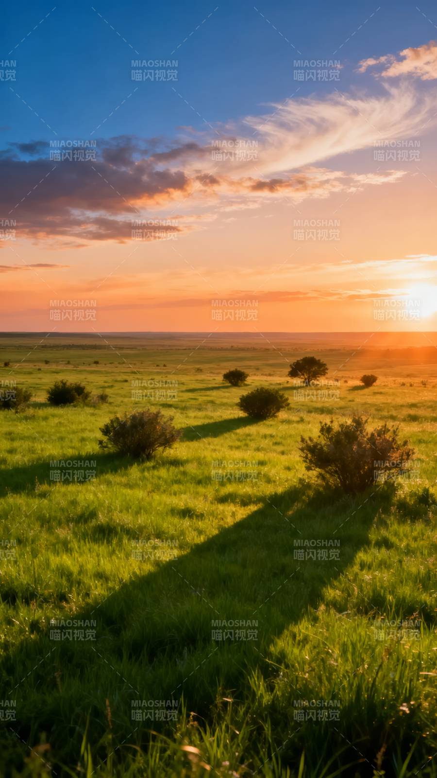 夕阳草原 光影如画图片