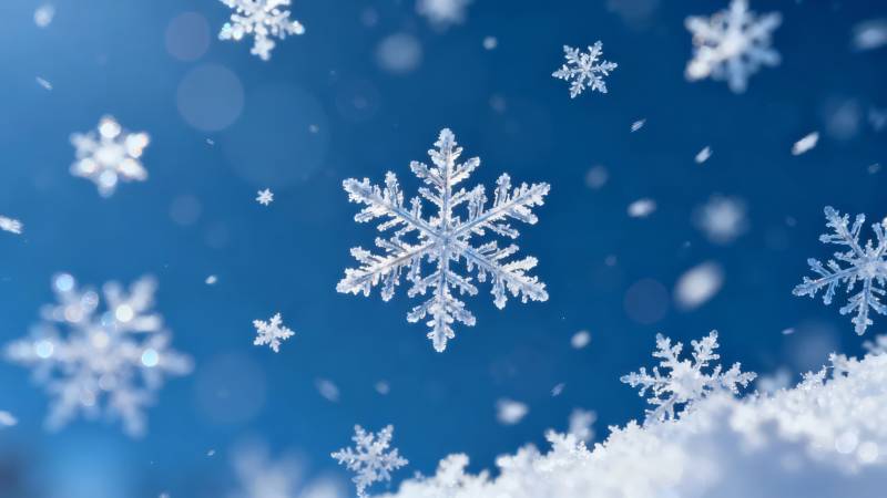 雪花纷飞 冬日浪漫图片
