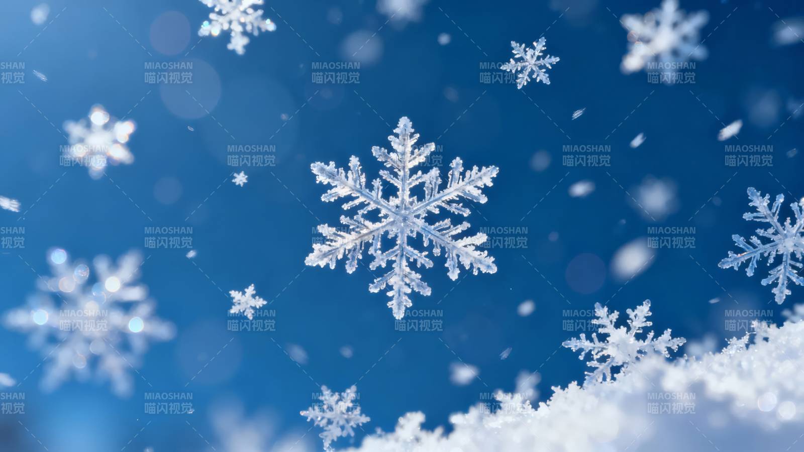 雪花纷飞 冬日浪漫图片