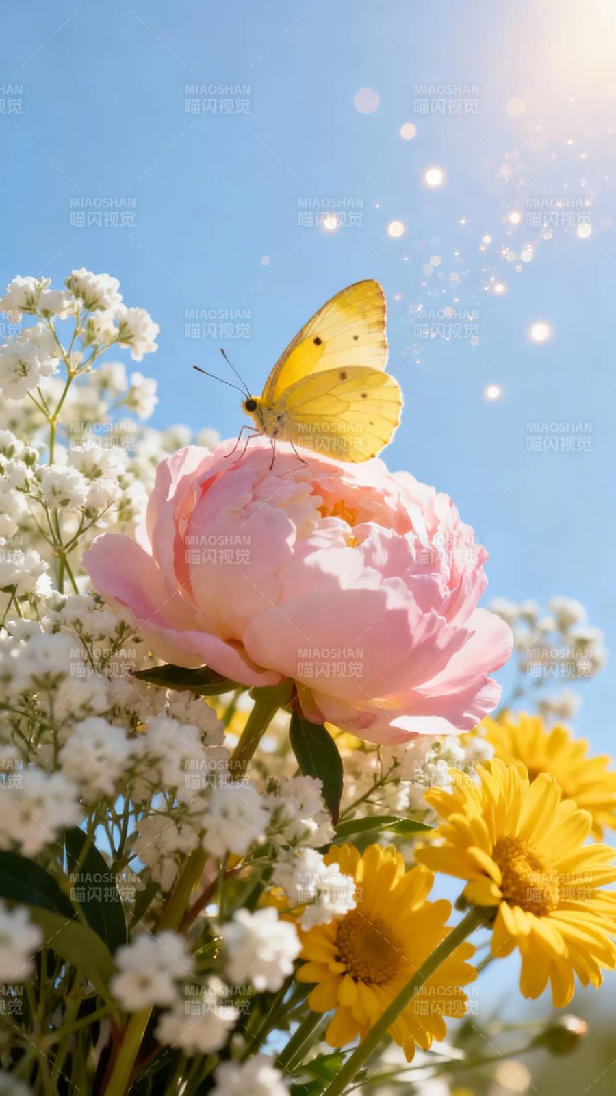 蝶舞花间 阳光洒落春景图片