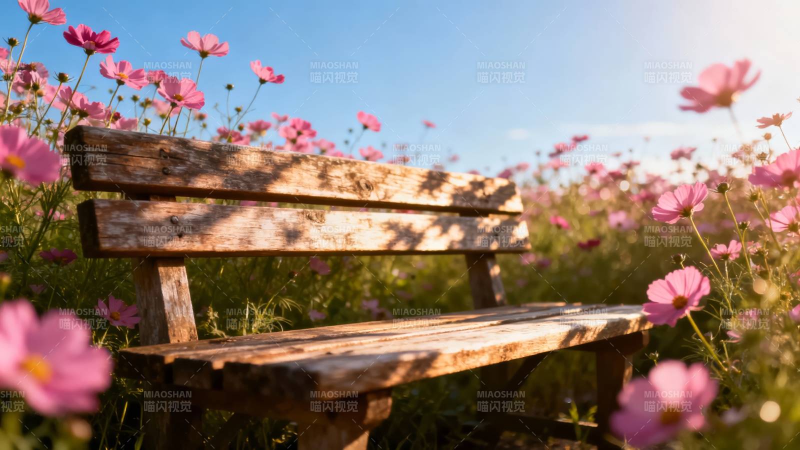 花海木椅 静享春光图片