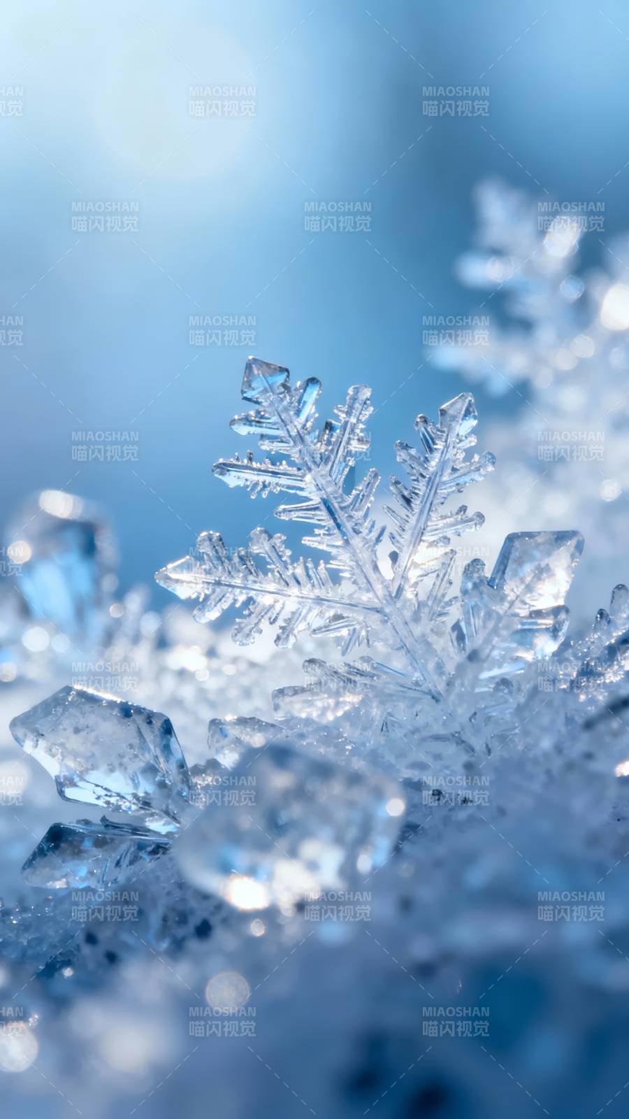 冰晶雪花 冬日微光图片