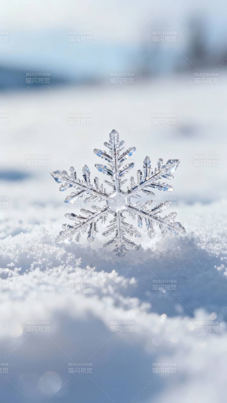 雪落晶莹 六角绽冬光图片