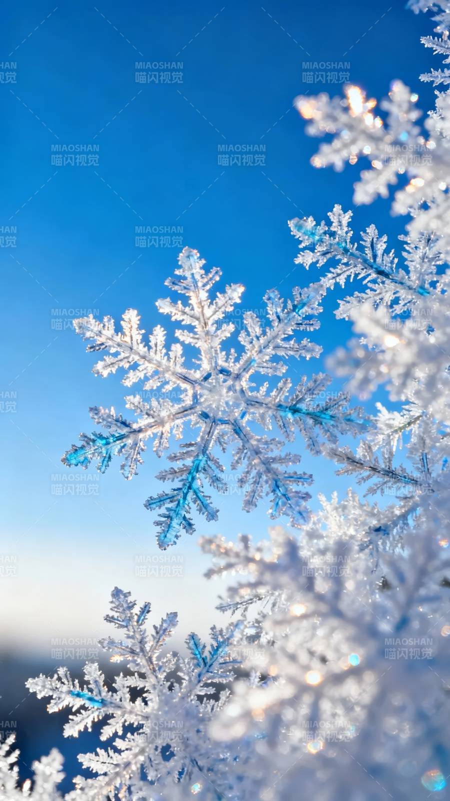 冰晶雪花映蓝天图片