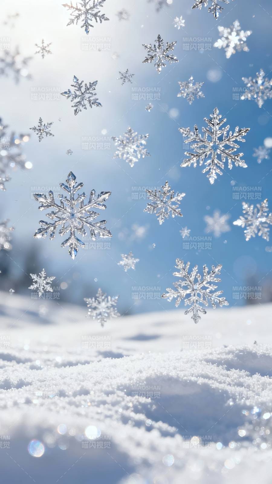 雪花飞舞 冬日梦幻景图片