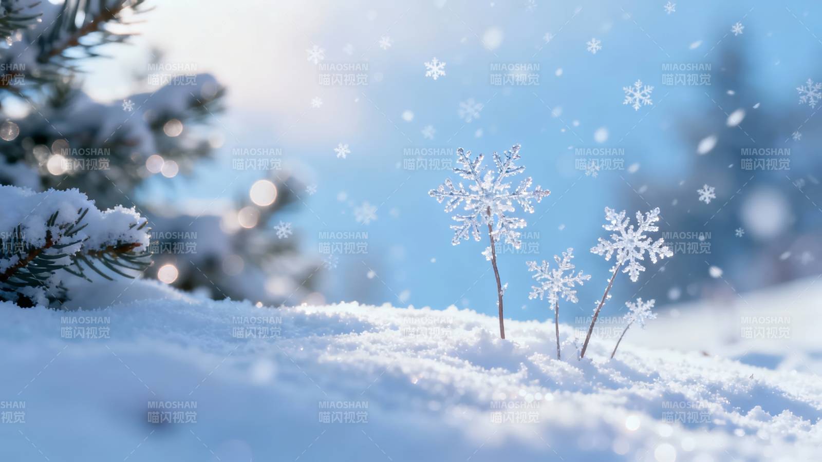 雪落松枝 晶花映冬光图片