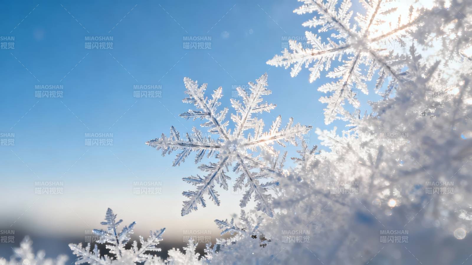 雪花飞舞 冬日晴空图片