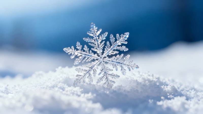 雪落晶莹 冬之诗行图片