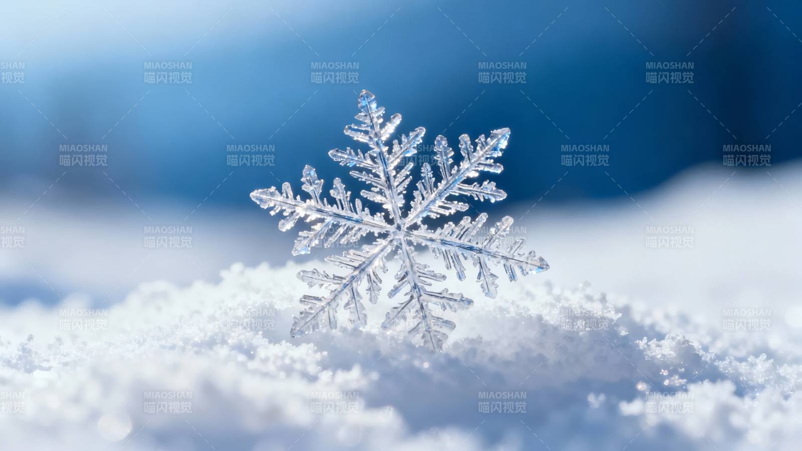 雪落晶莹 冬之诗行图片