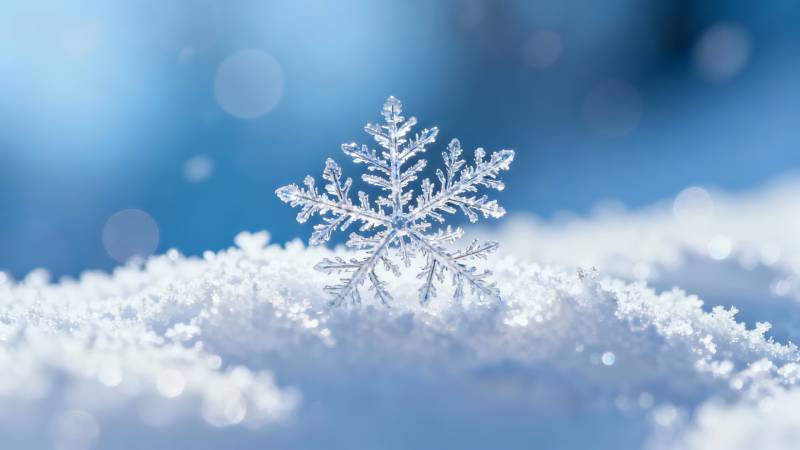 雪晶静卧 冬梦初醒图片