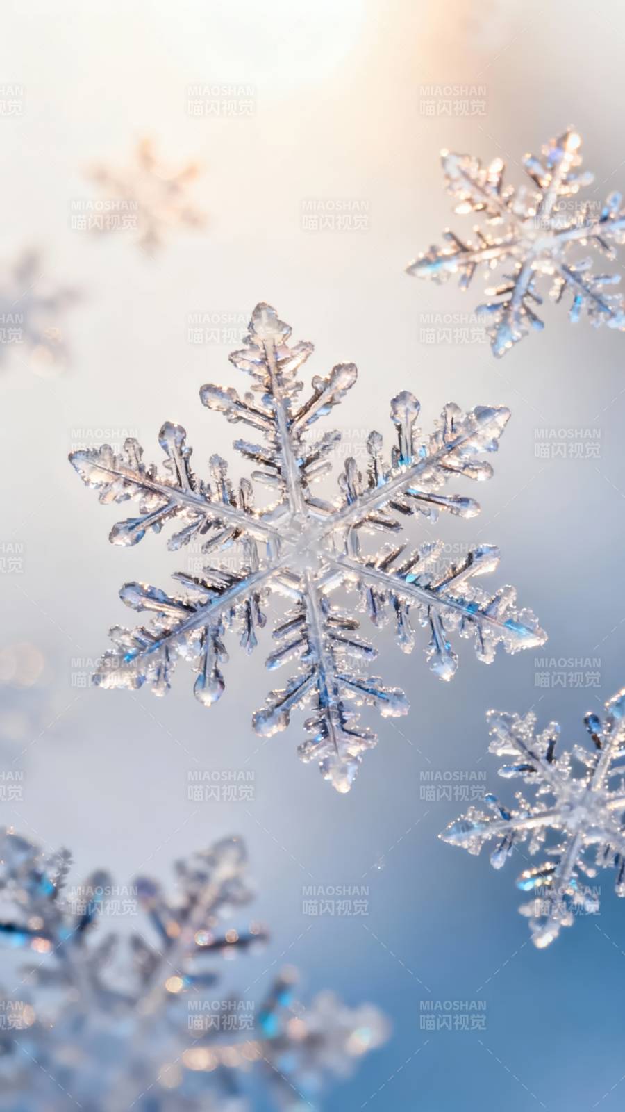 雪花晶莹 冬日梦幻图片