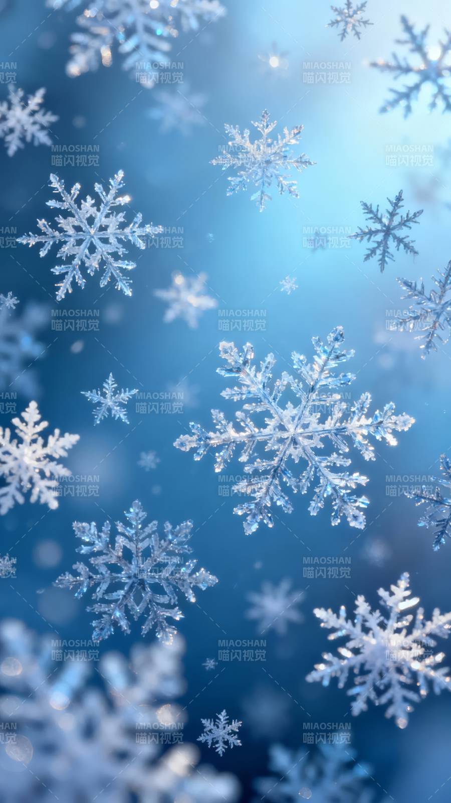 雪花纷飞 冬日梦幻蓝图片