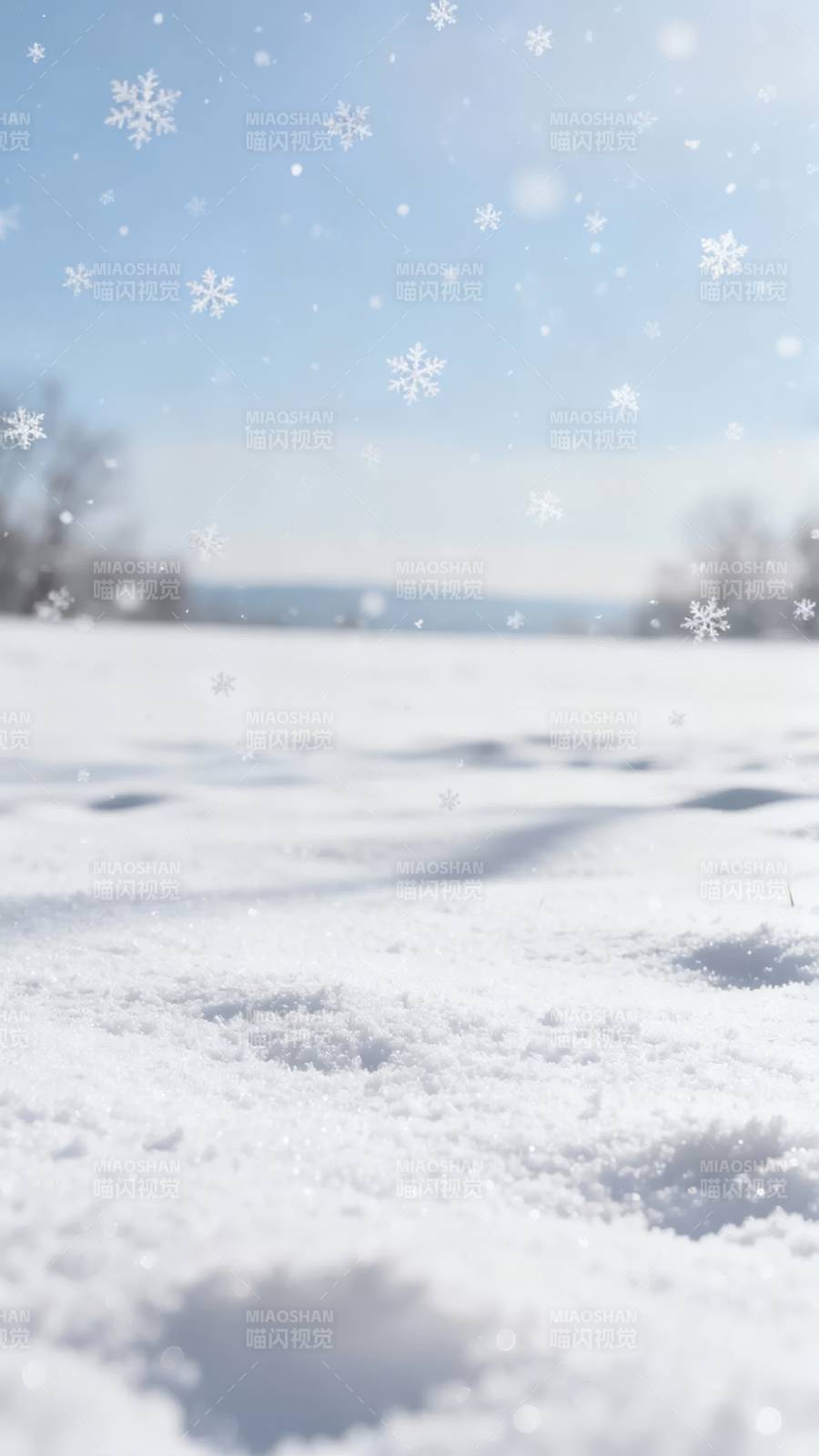 雪落无声 冬日静美图片