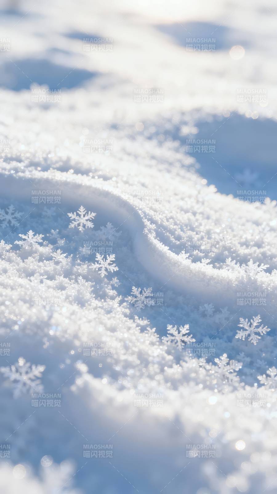 雪晶微光 冬日静谧美图片