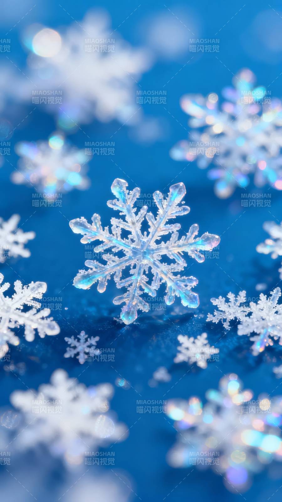 雪花纷飞 晶莹如梦图片