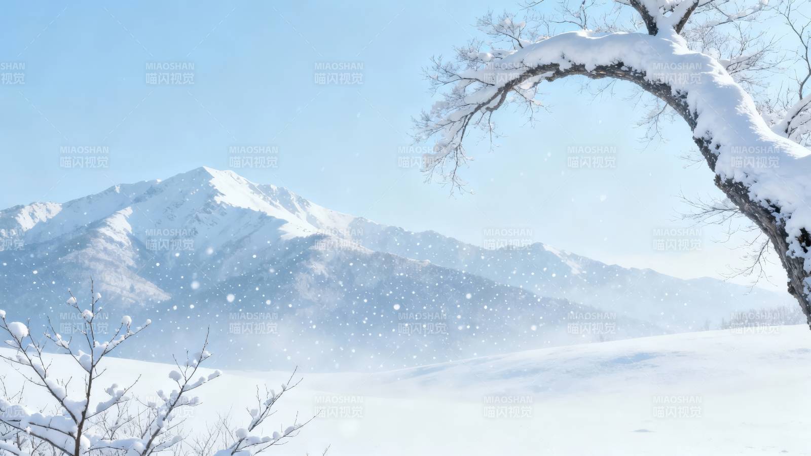 雪覆山峦 枝挂琼瑶图片