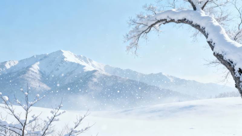 雪覆山峦 枝挂琼瑶图片