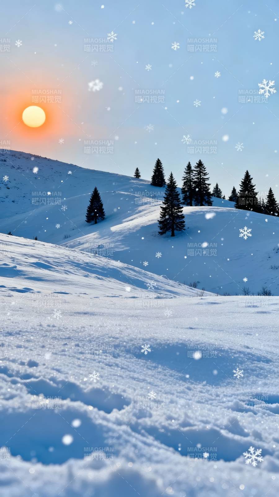 雪落松林 夕阳暖冬景图片