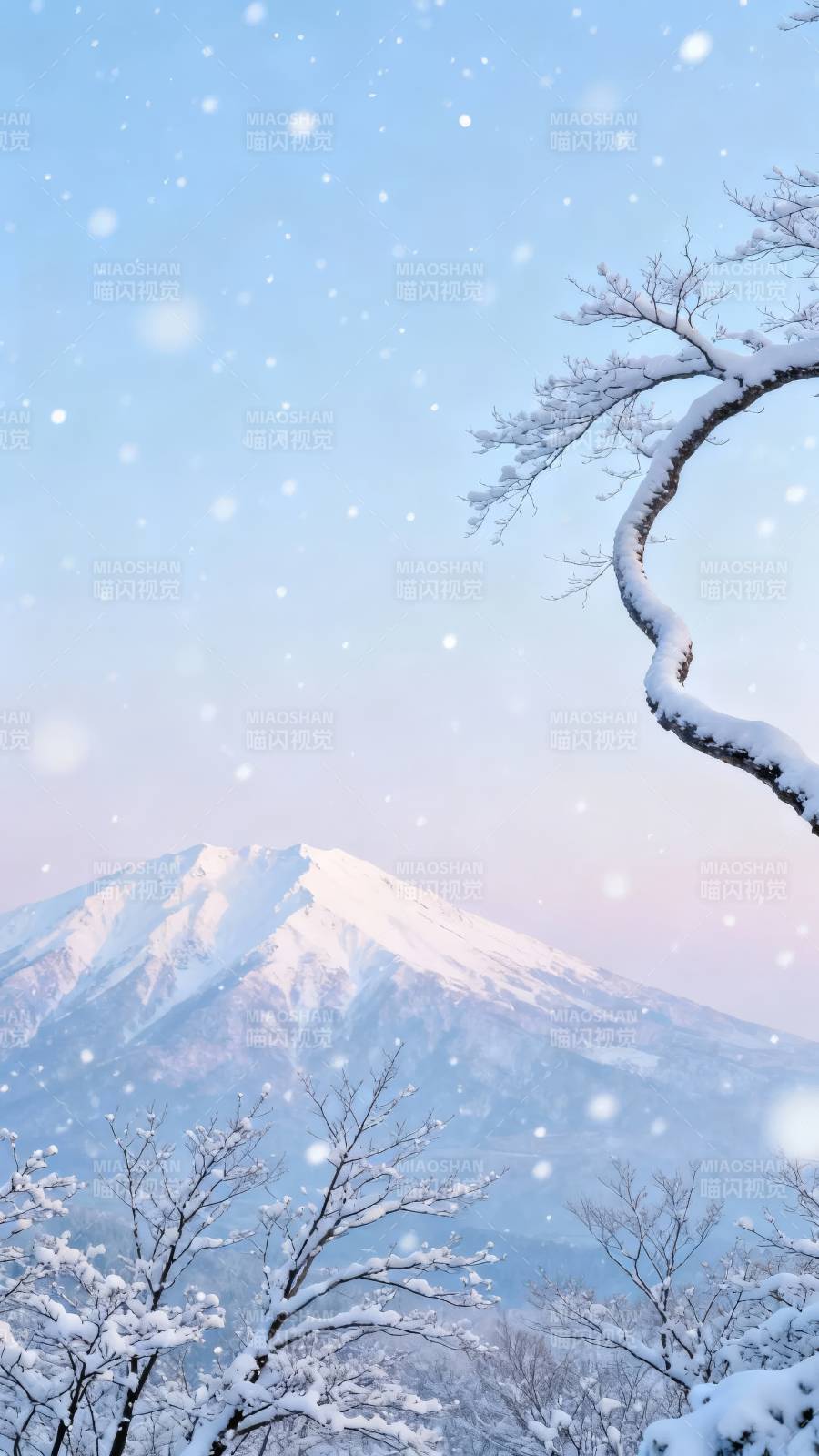 雪落富士山 枝头覆银装图片