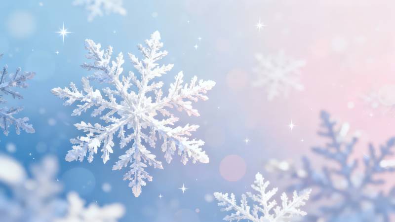 雪花飞舞 梦幻冬日景图片