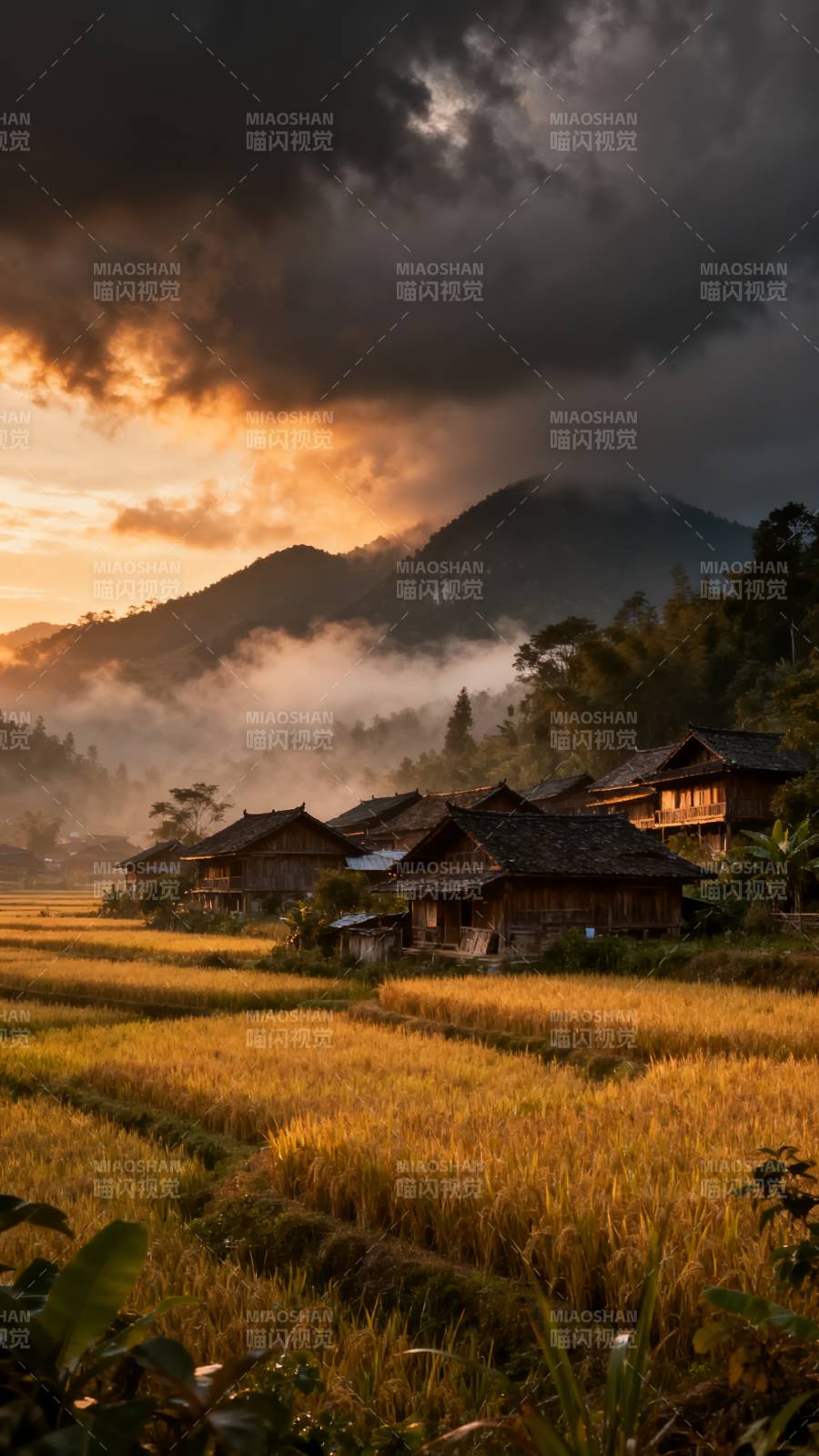 暮色梯田 古村云绕山间图片