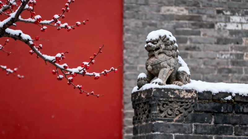 雪覆石狮 红墙梅影图片