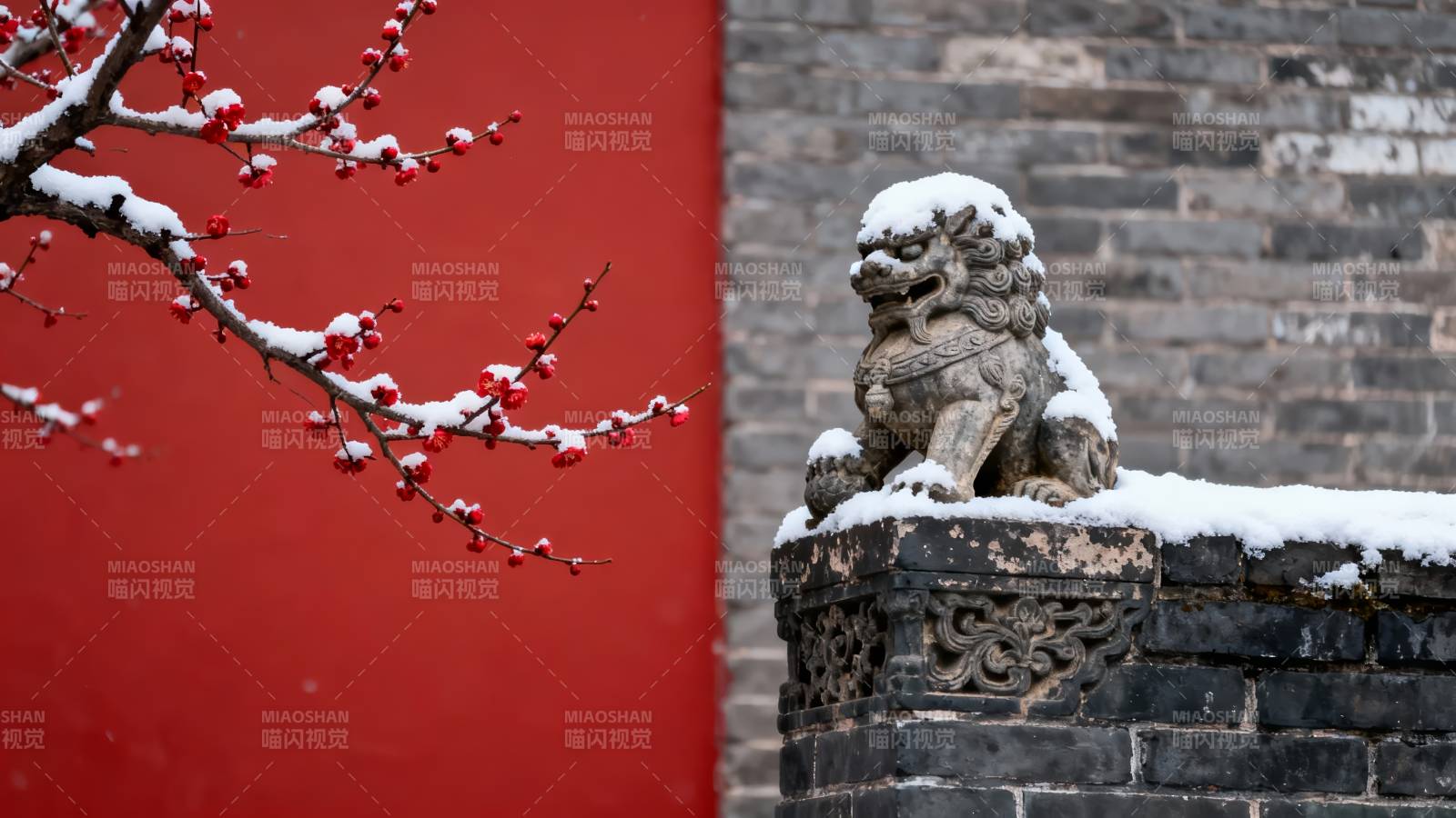 雪覆石狮 红墙梅影图片
