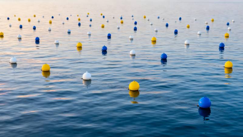 海面浮标彩点如星图片